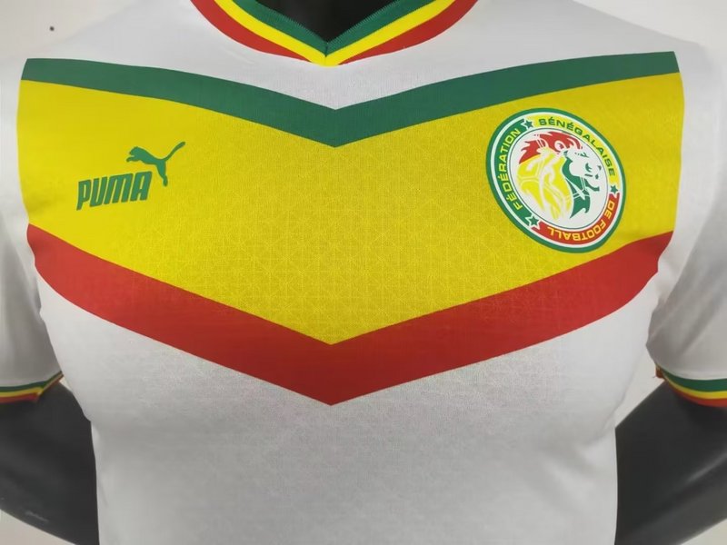 2022 Senegal home